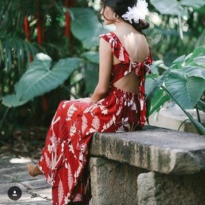 *SOLD* Ava Sky Dress Blaze Red (Fighting Eel) NWT